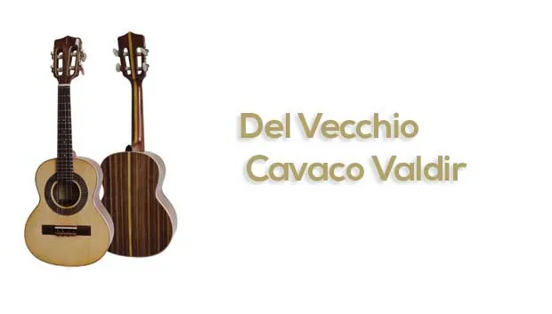 Aula Primeiros Acordes