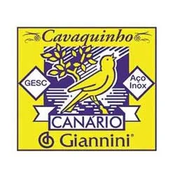 Aula Primeiros Acordes